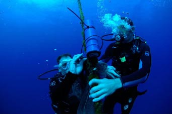 Divers with underwater receiver